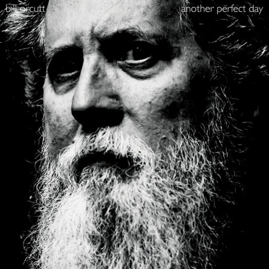 Bill Orcutt - Another Perfect Day [LP] Vinyl Record