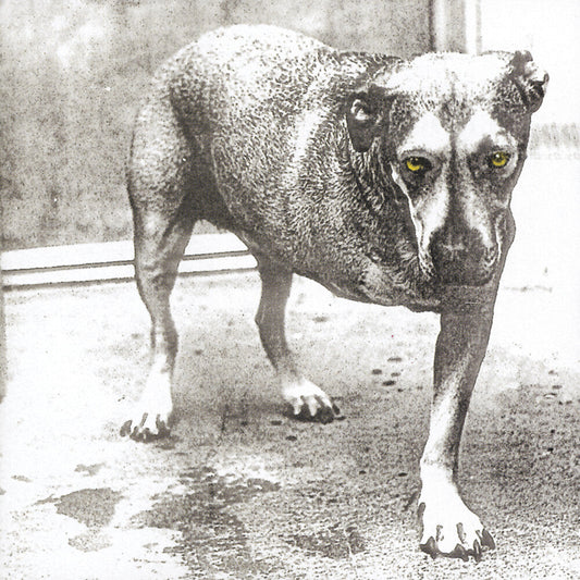 Alice In Chains - Alice In Chains (30th Anniversary Reissue) [Colored Vinyl] Vinyl Record
