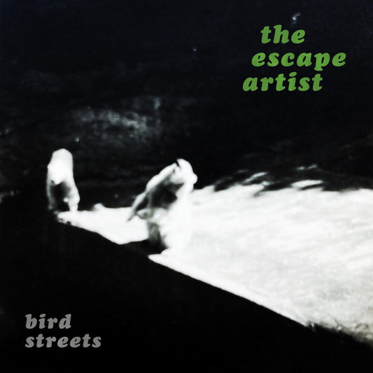 Bird Streets - Escape Artist [Silver] Vinyl Record