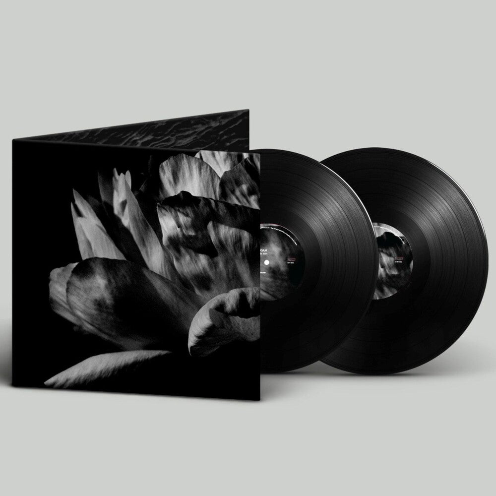 Pre-Order: Louise Roam - La Ou Passe La Nuit (Gate) [LP]