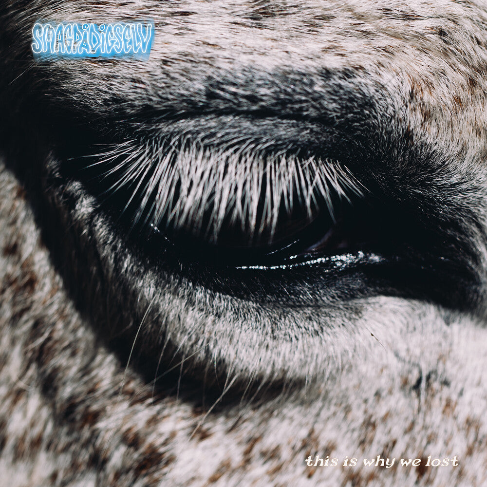 Pre-Order: Smag På Dig Selv - This Is Why We Lost [LP]