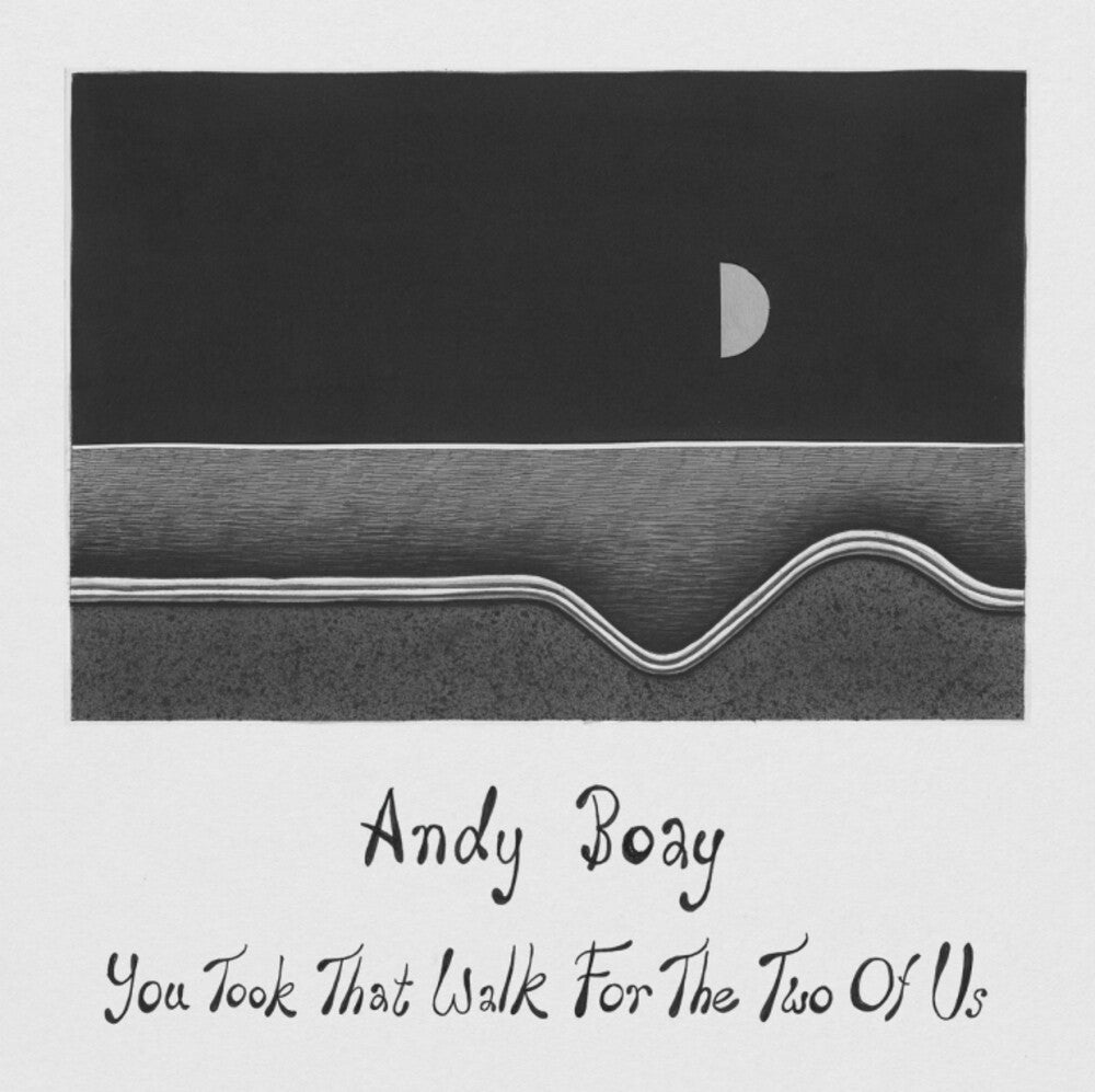 Pre-Order: Andy Boay - You Took That Walk For The Two Of Us [LP]