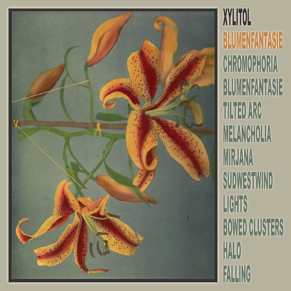 Pre-Order: Xylitol - Blumenfantasie [LP]