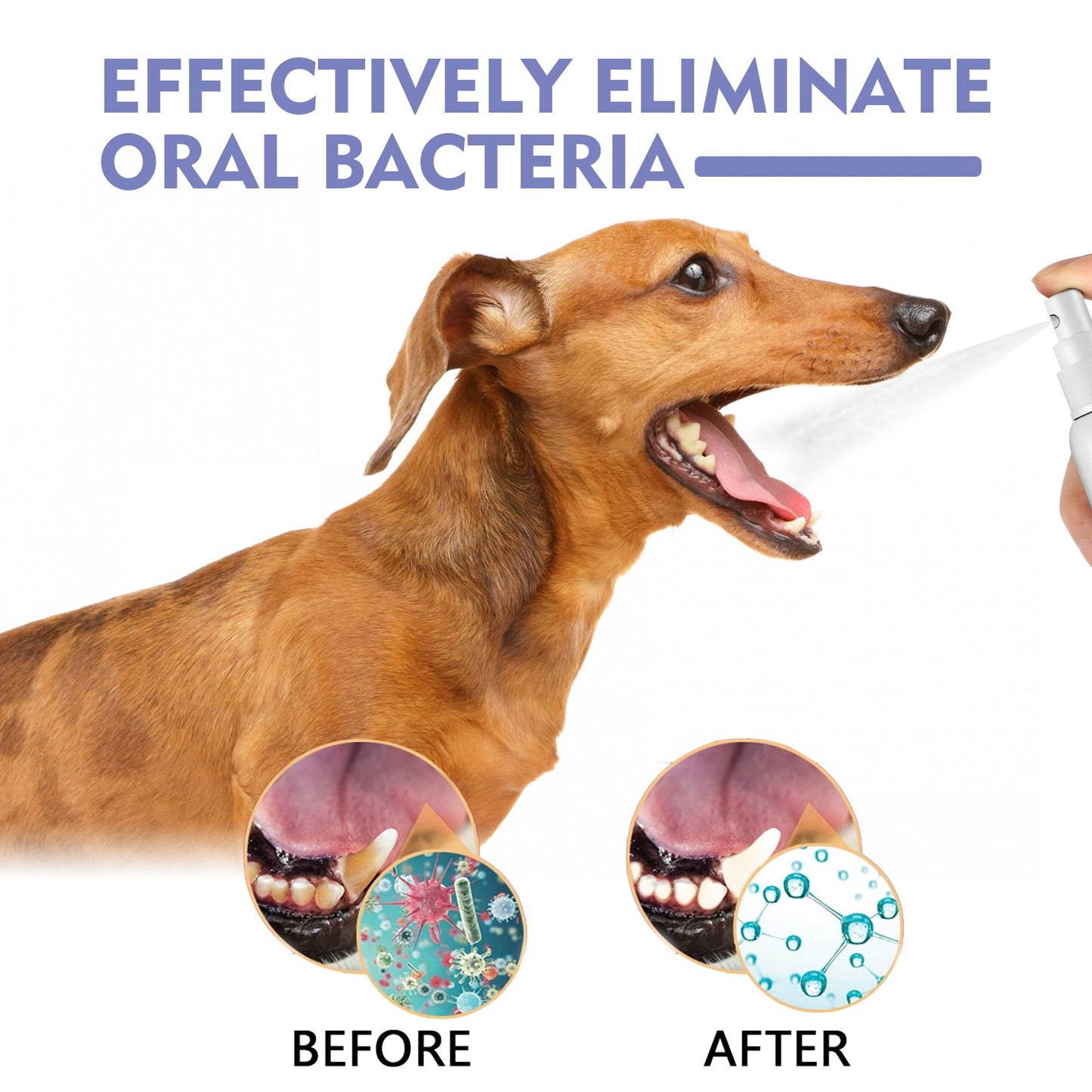 Tooth Cleaning Spray For Cats And Dogs, Remove Tooth Stains Fresh Breath Pets Oral Care Spray