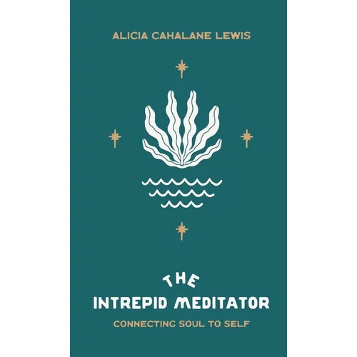The Intrepid Meditator: Connecting Soul To Self
