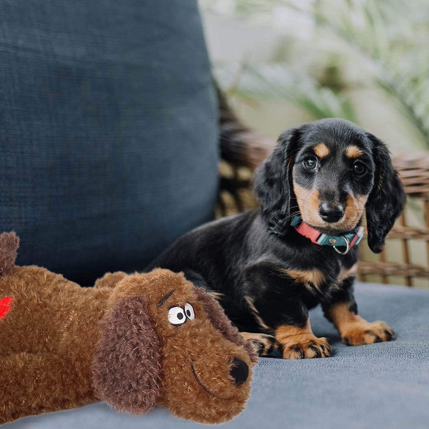 Calming Pals-Dog Toy Anti Anxiety Plush Buddy
