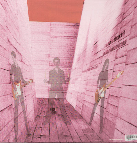 Blonde Redhead - In An Expression of the Inexpressible [LP] Vinyl Record