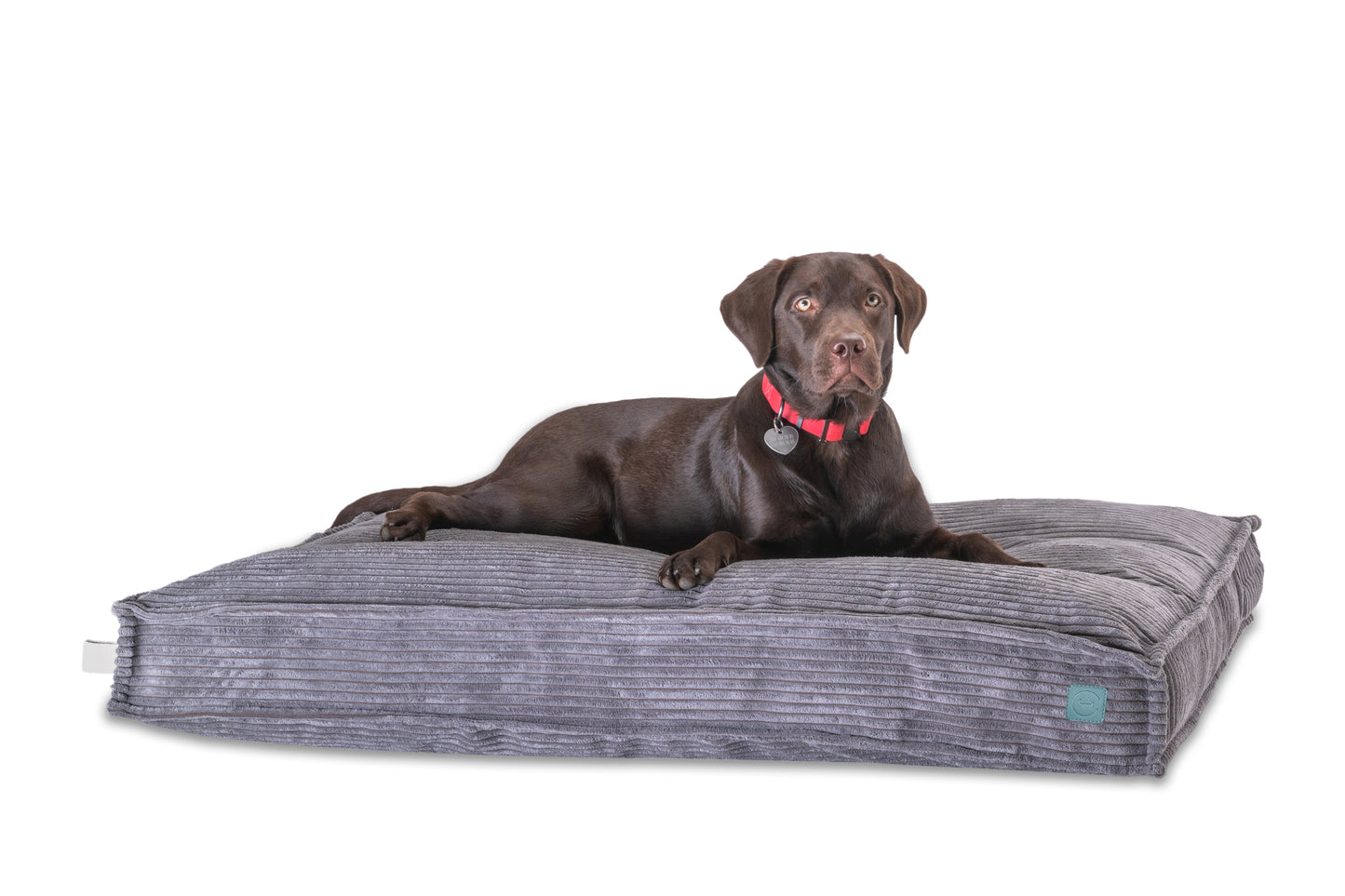 Memory Foam Dog Bed
