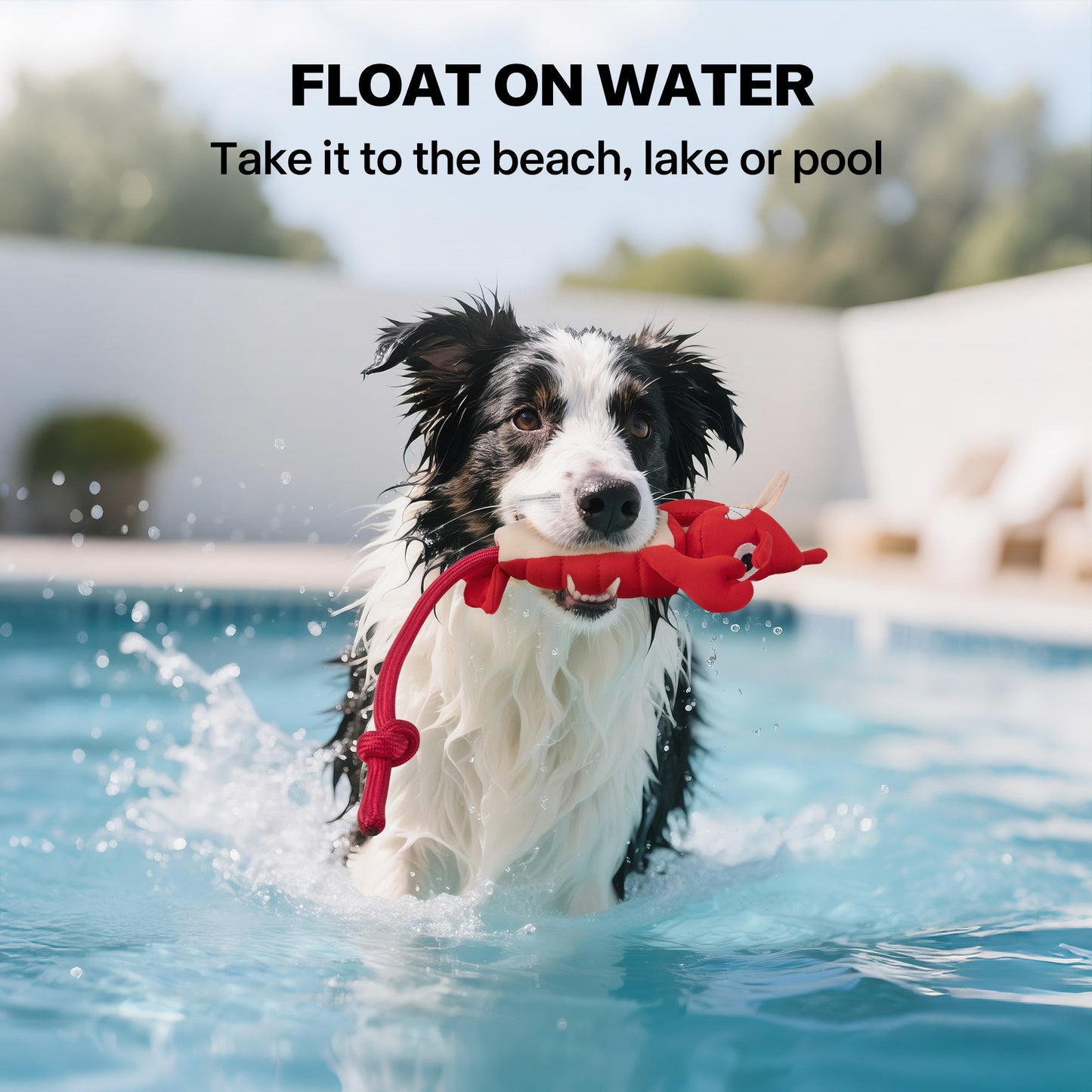 Chill Out - Dog fetch toy - Flying Lobster