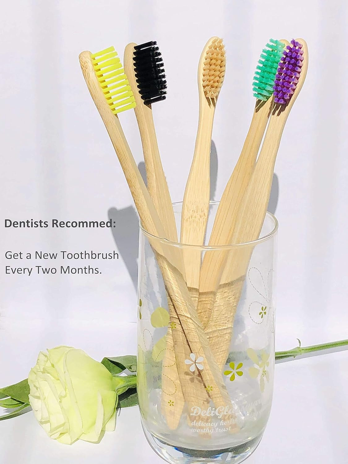 Eco-Friendly Bamboo Toothbrushes – Set of 10