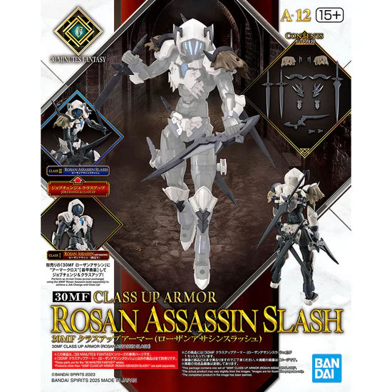 30 Minutes Fantasy Class-Up Armor Rosan Assassin Slash Accessory Set