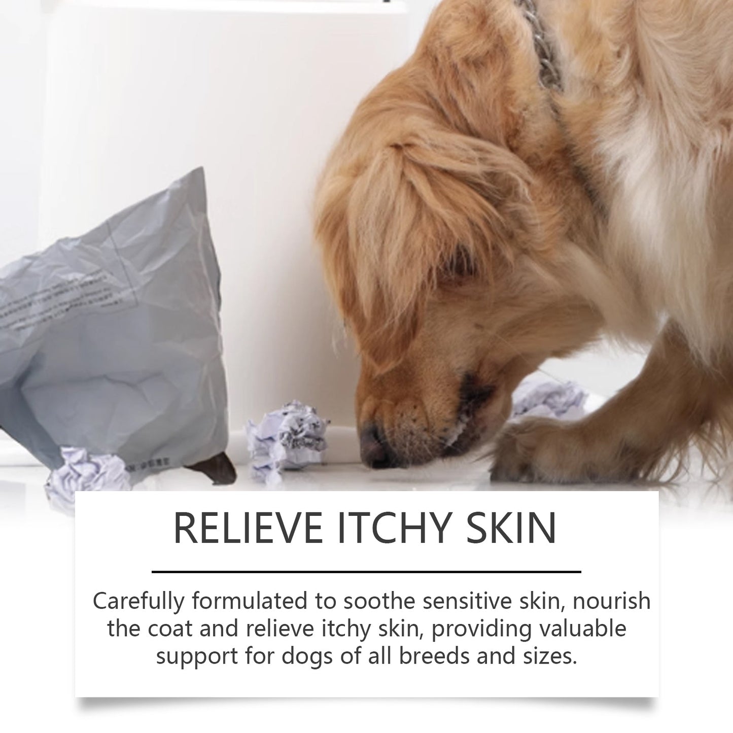 Dog Body Care Drops, Care And Relieve Pet Body Discomfort Nutritional Care Supplements