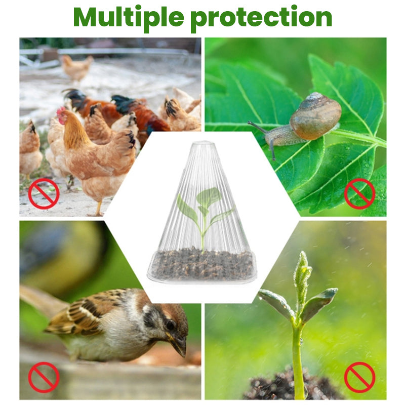 30 Reusable Square Planting Tents. Protect plants from birds, frost & snails.
