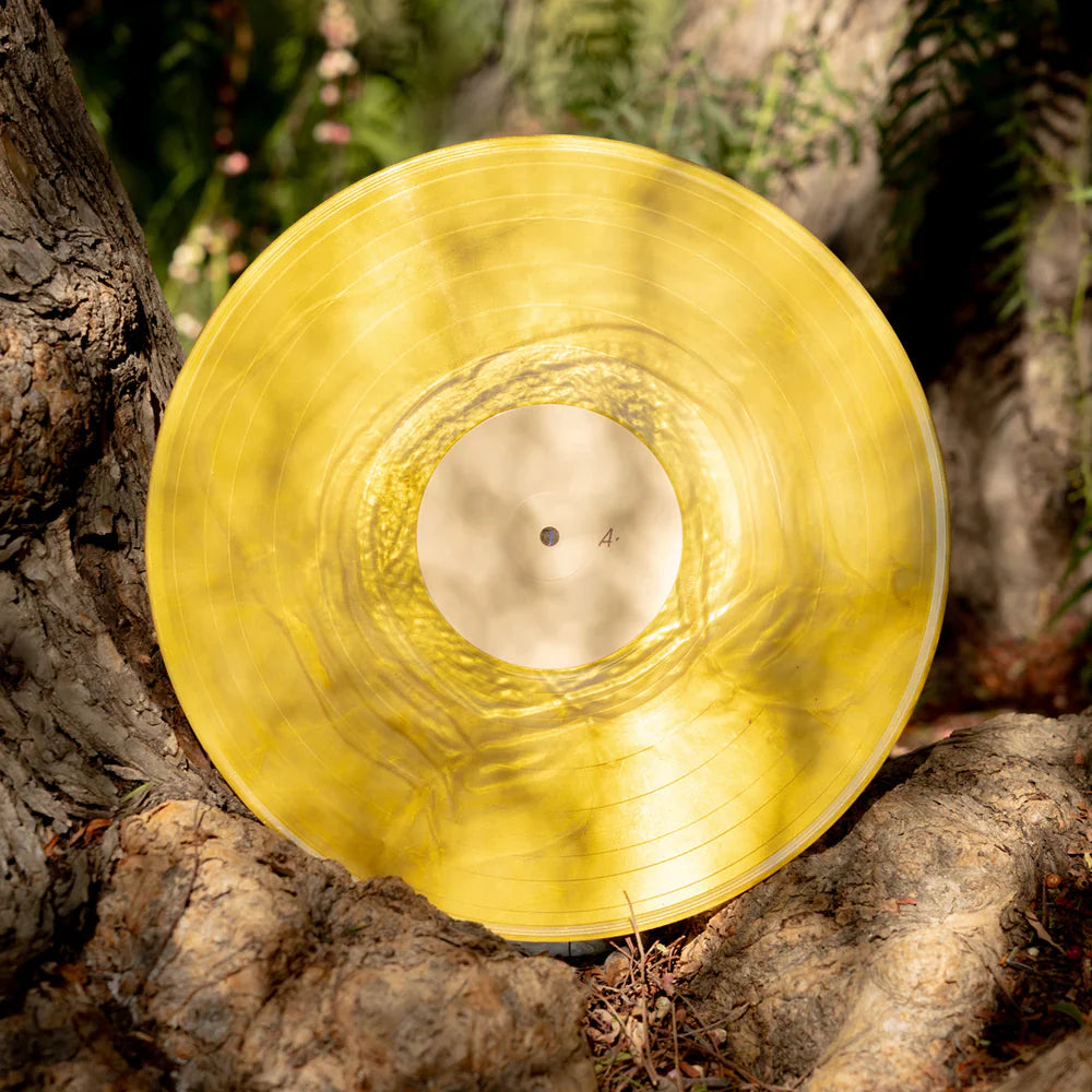 Banjo-Kazooie Vinyl Soundtrack