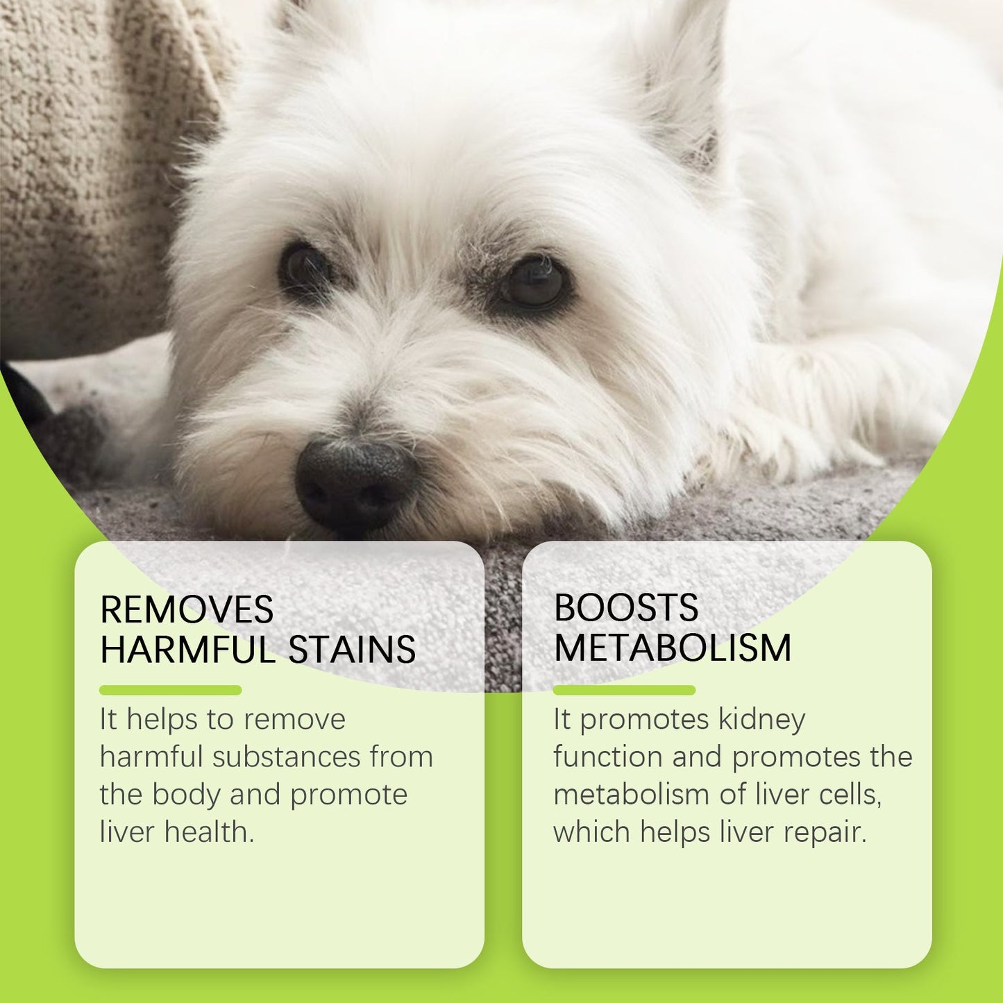 Dog Care Drops, A Comprehensive Healthy Dietary Supplement To Enhance Nutrition And Rejuvenate Dogs