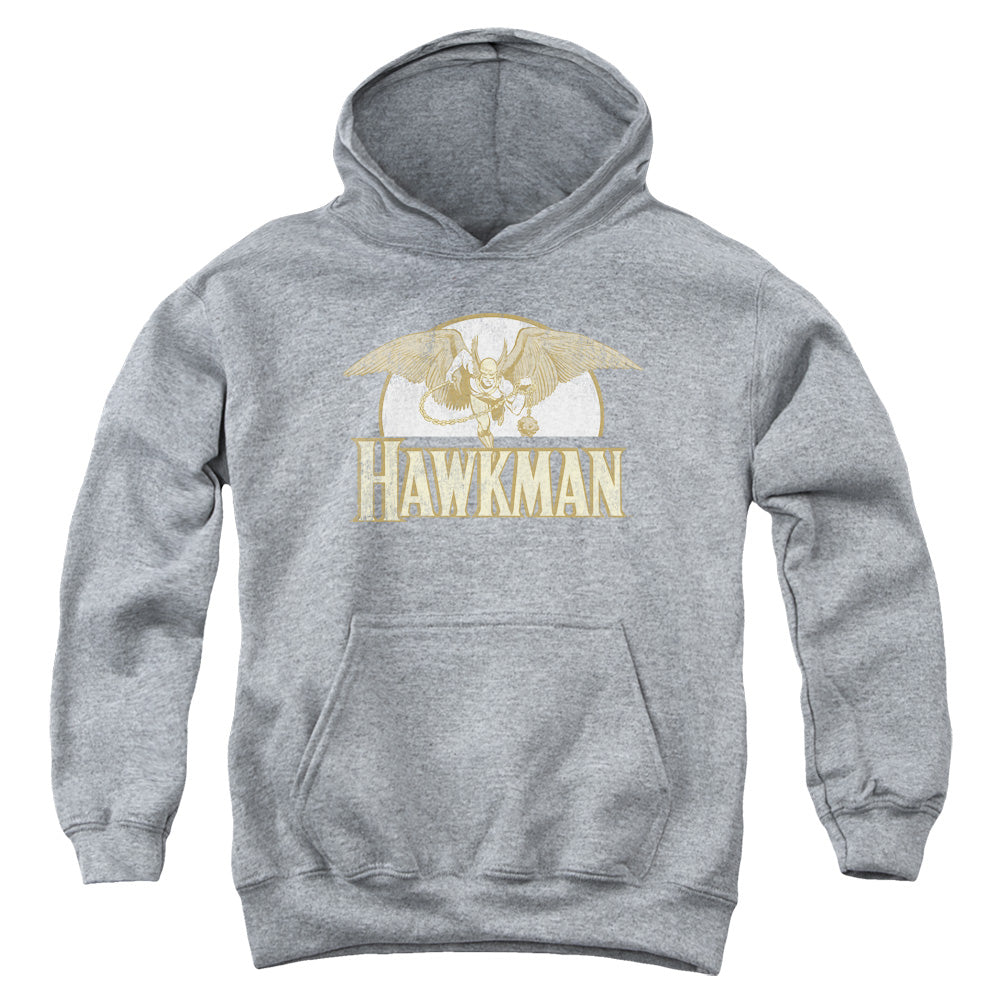 DC Comics Fly by Kids Youth Hoodie Heather Officially Licensed