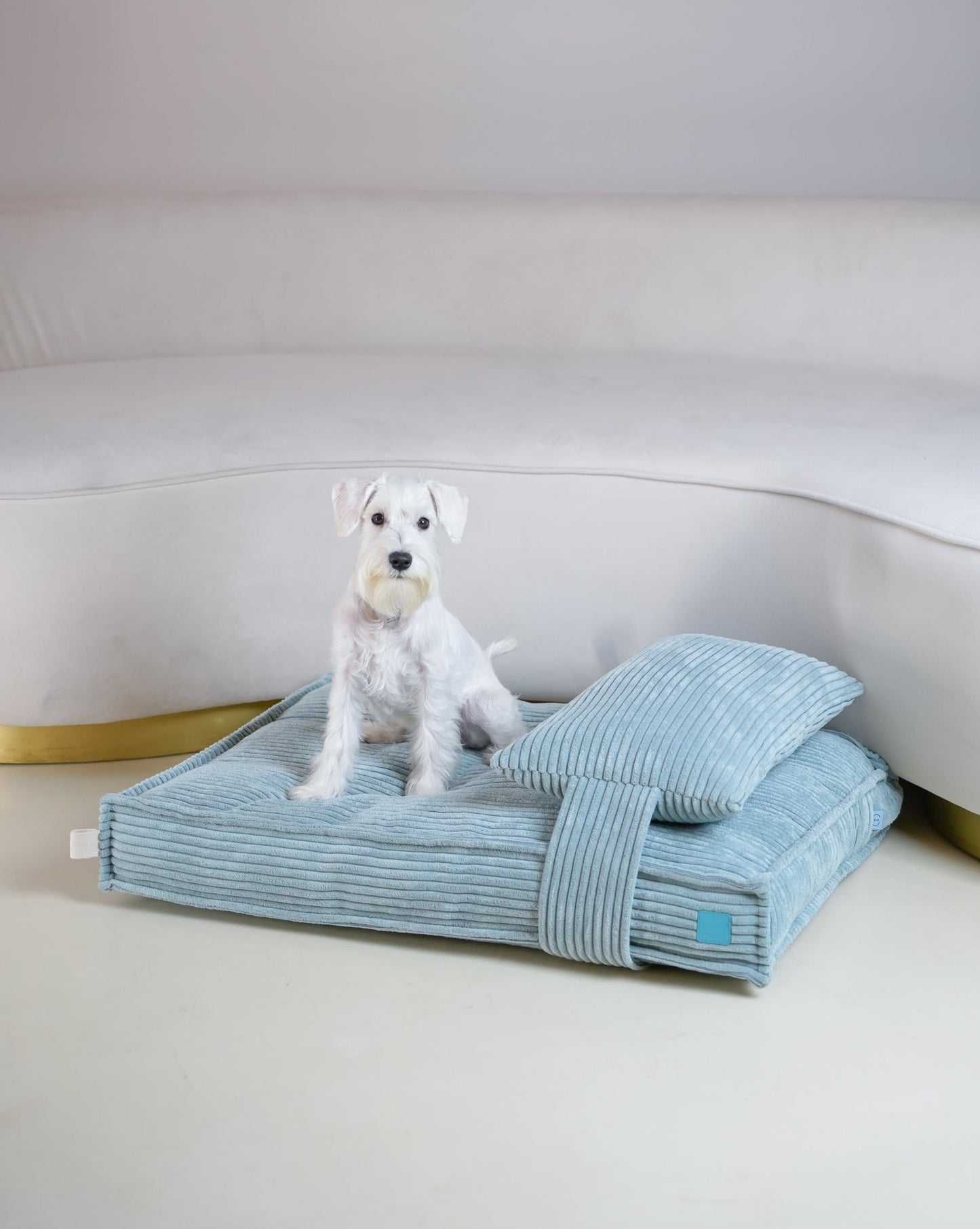 Memory Foam Dog Bed