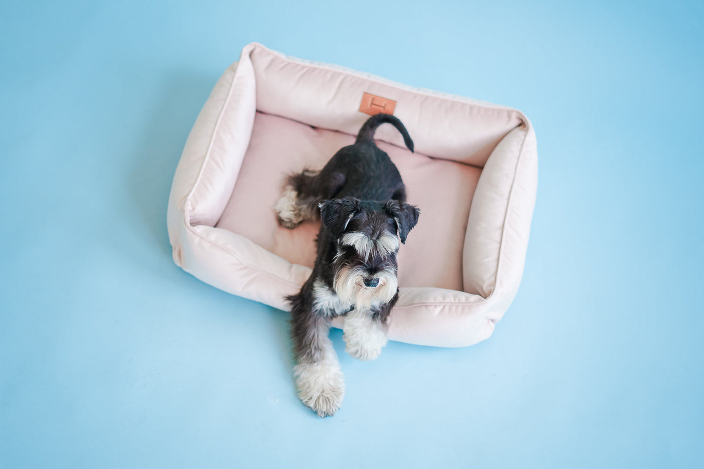 Velvet Dog Bed Dreamer