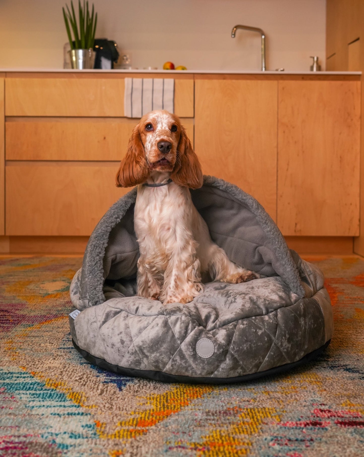Cover Dog Bed