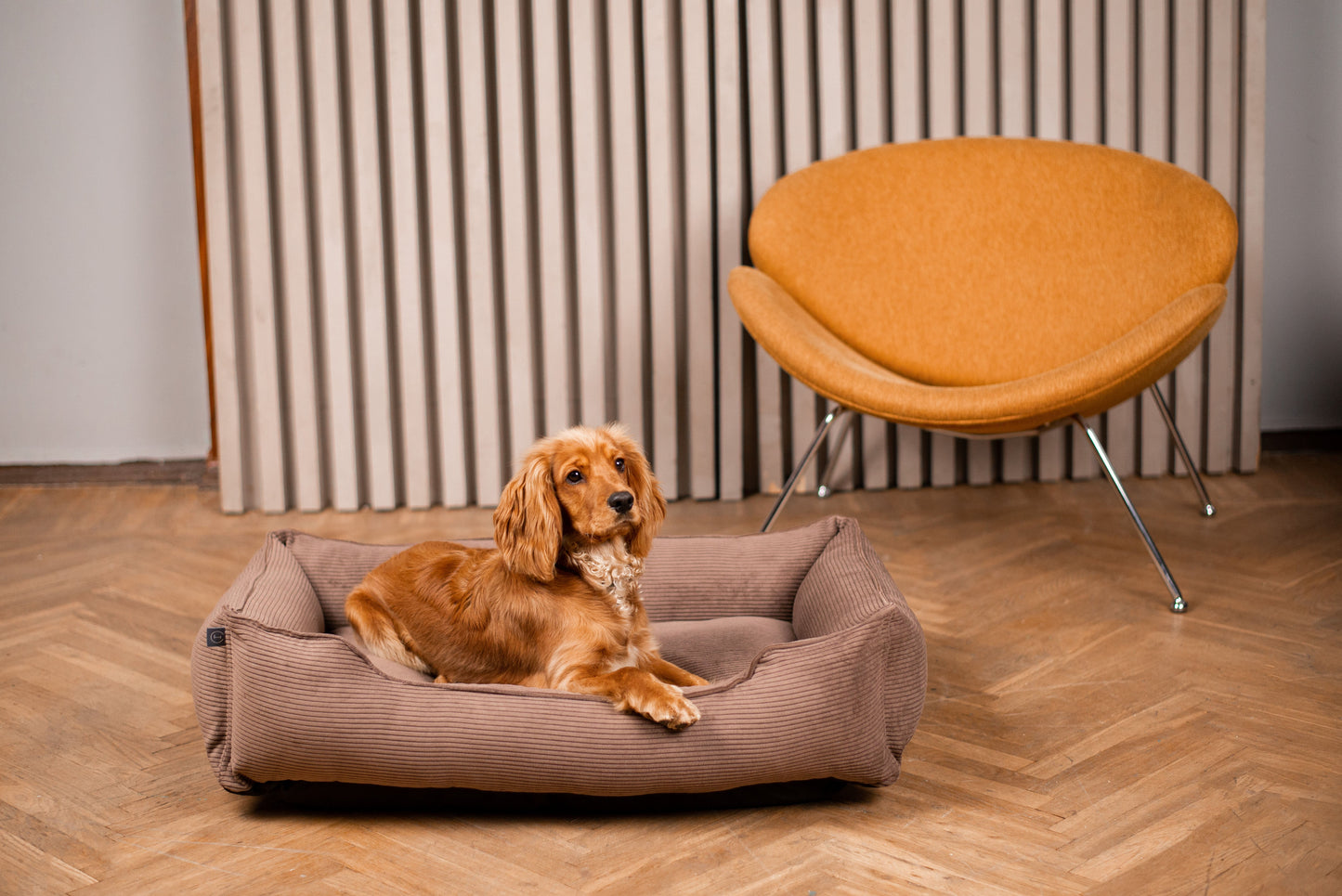 Corduroy Dog Bed Dreamer