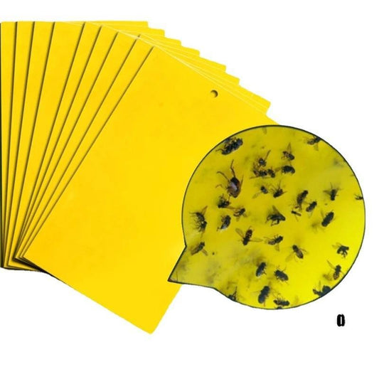 Double sidedStrong Flies Traps Bugs Sticky Board Catching Aphid Insects Killer fly Control Whitefly Thrip Leafminer Glue Sticker