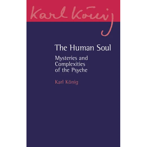 The Human Soul: Mysteries and Complexities of the Psyche