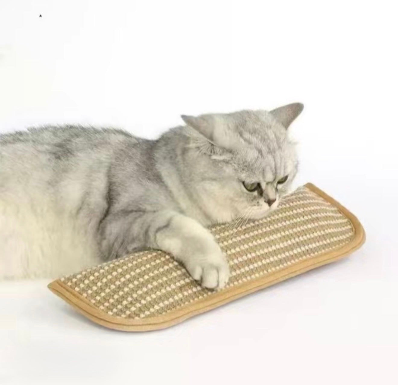 CatNip Fury Kicker