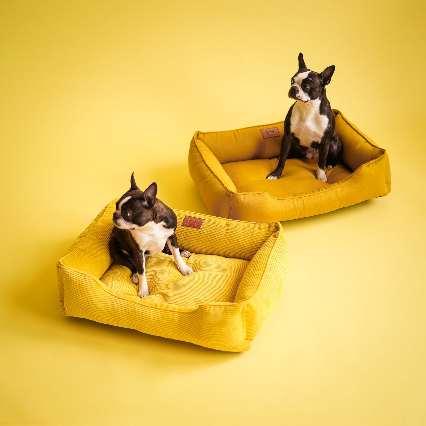 Corduroy Dog Bed Dreamer