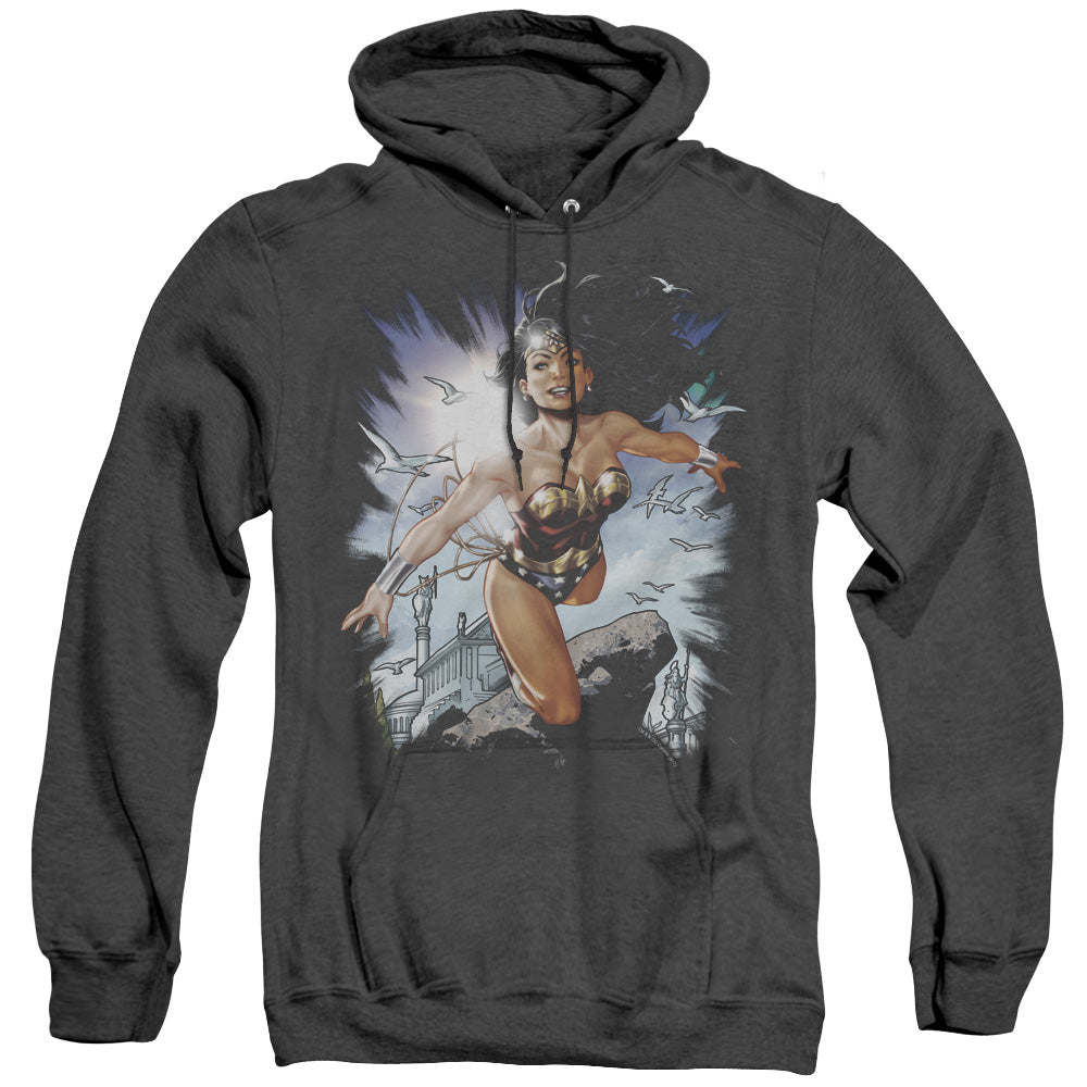 Justice League Of America Of Themyscira Mens Heather Hoodie Black Officially Licensed