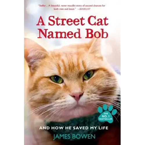 A Street Cat Named Bob and How He Saved My Life