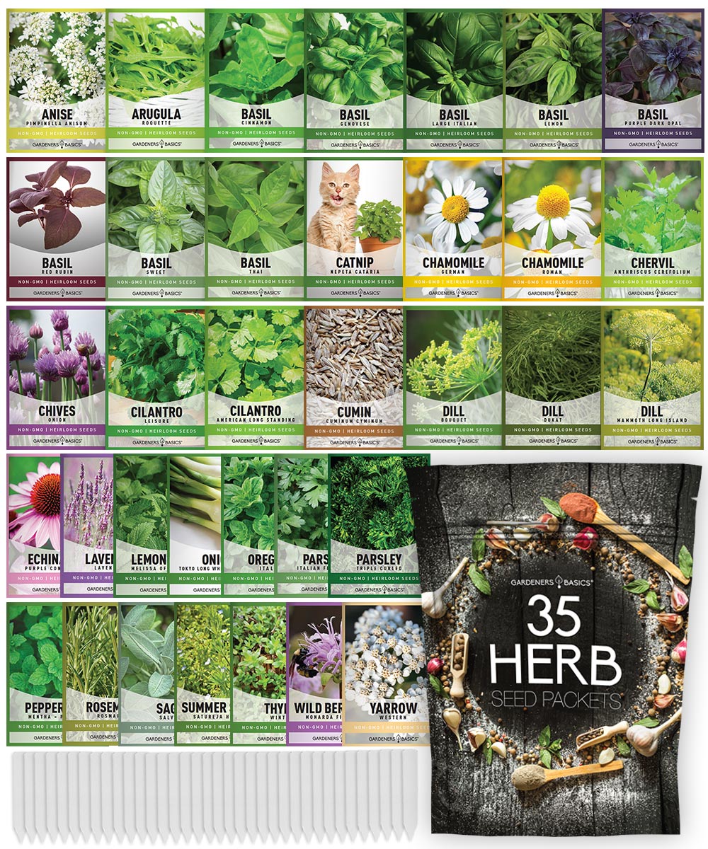 Popular Herb Seeds for Planting | 35 Variety Pack