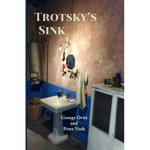 Trotsky's Sink: Ninety-Eight Short Essays About Literature