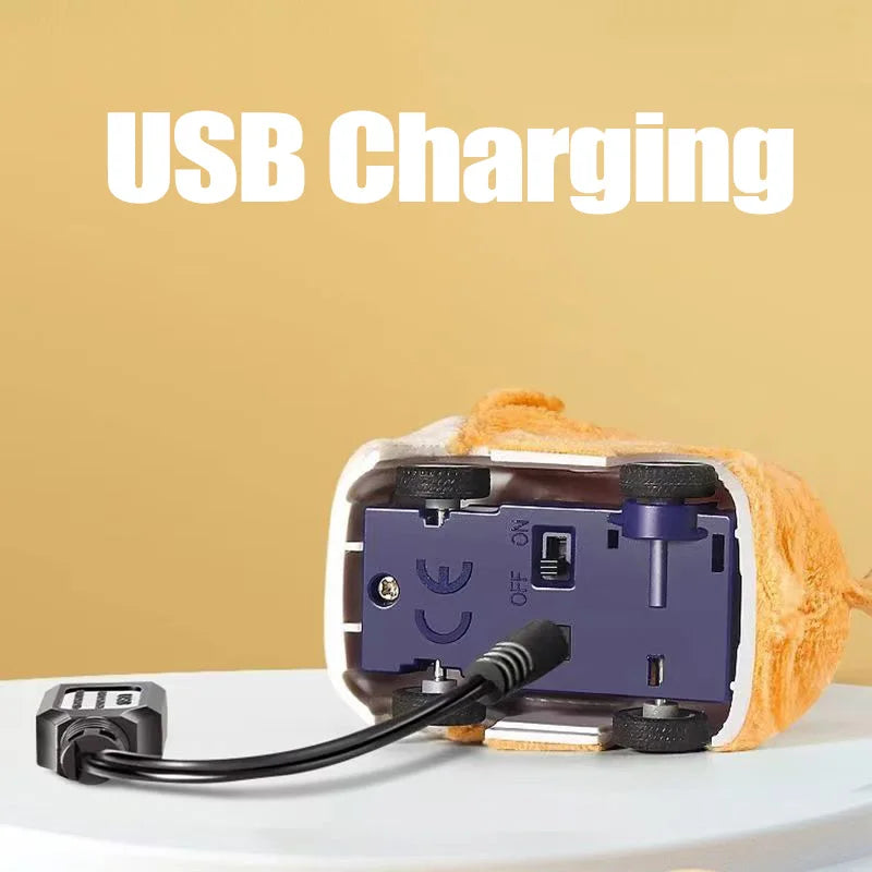 Capybara Rabbit RC Car Watch Toy – 2.4G Remote Control Racing Car