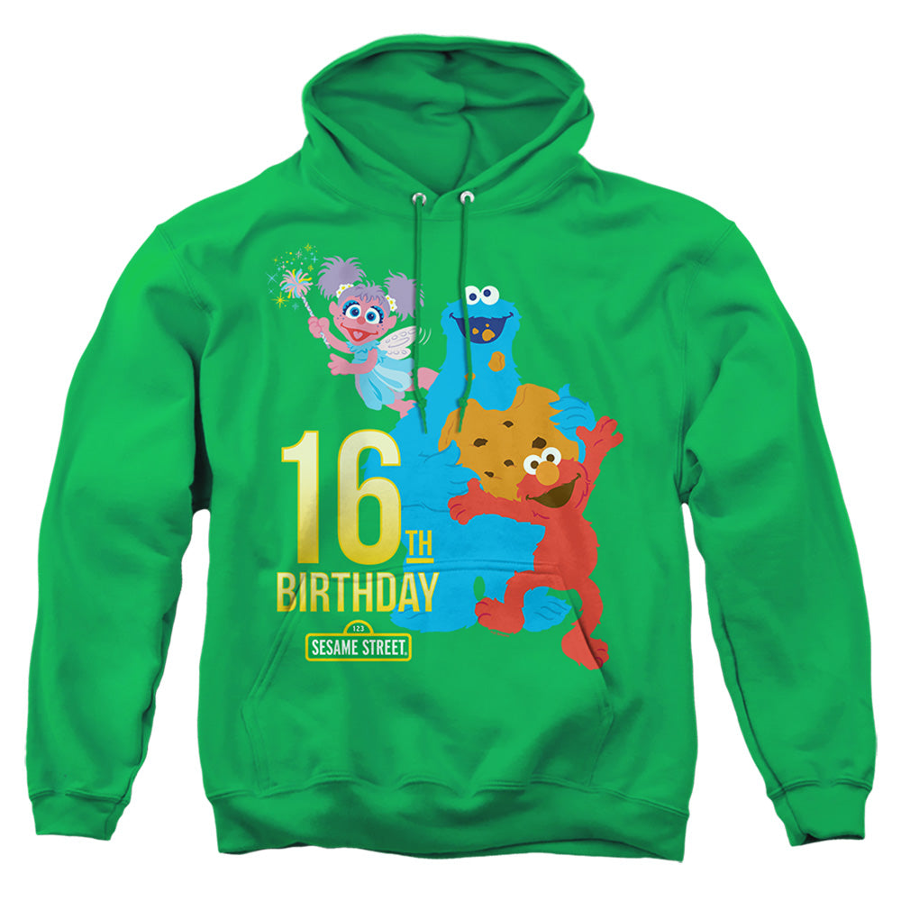 Sesame Street 16Th Birthday Mens Hoodie Kelly Green Officially Licensed