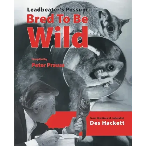 Leadbetter's Possum: Bred to Be Wild