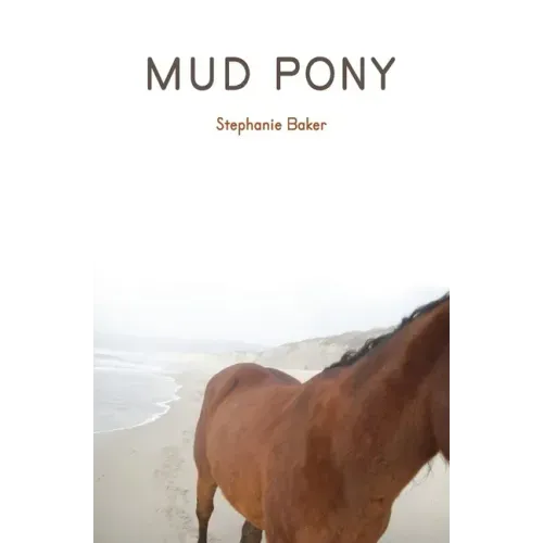 Mud Pony