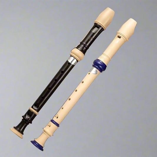 Two recorders, one black and one beige with blue accents, on a white background.