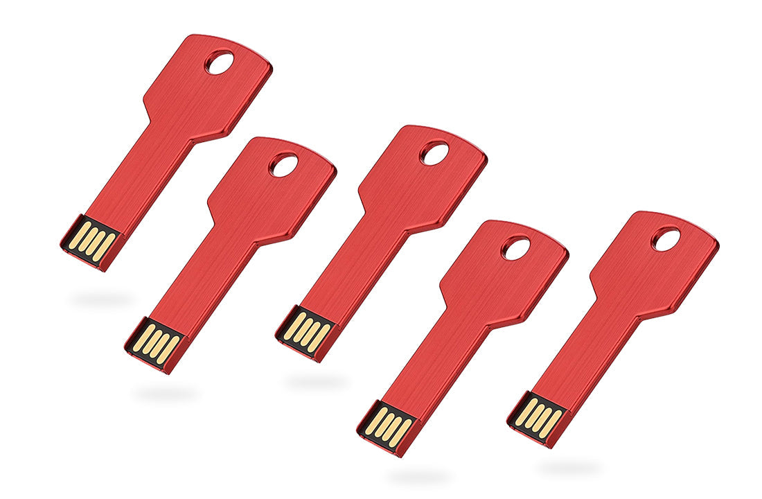 Carry Everything - Key Style USB Drive Bundle