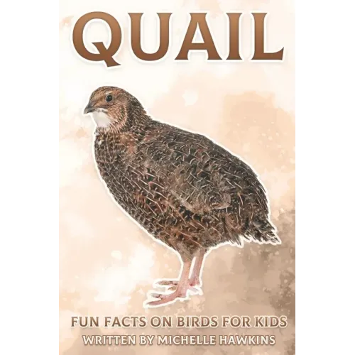 Quail: Fun Facts on Birds for Kids #17