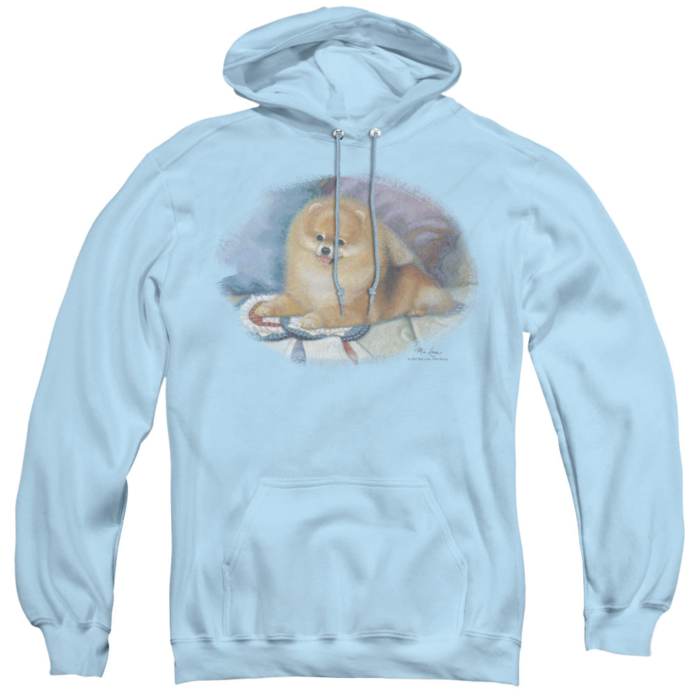 Wildlife Pomeranian Portrait Mens Hoodie Light Blue