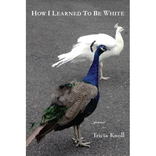 How I Learned to Be White
