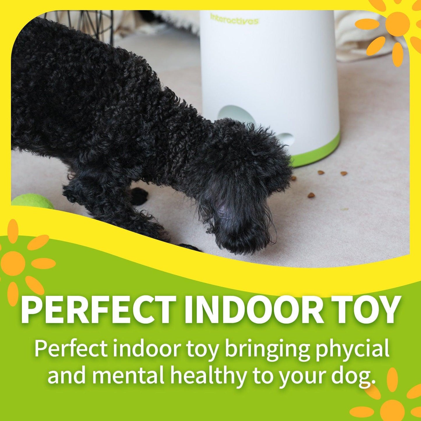 Interactive Fetch-N-Treat Dog Toy