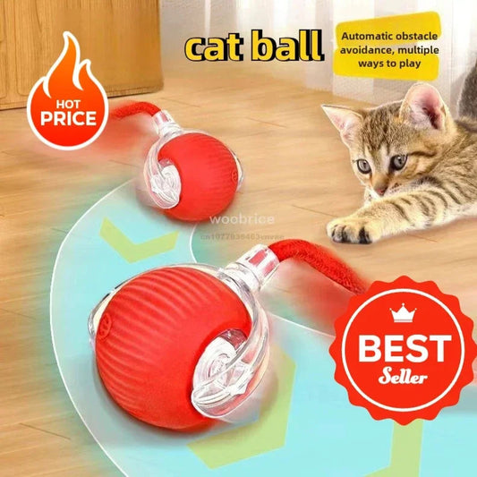 cat ball