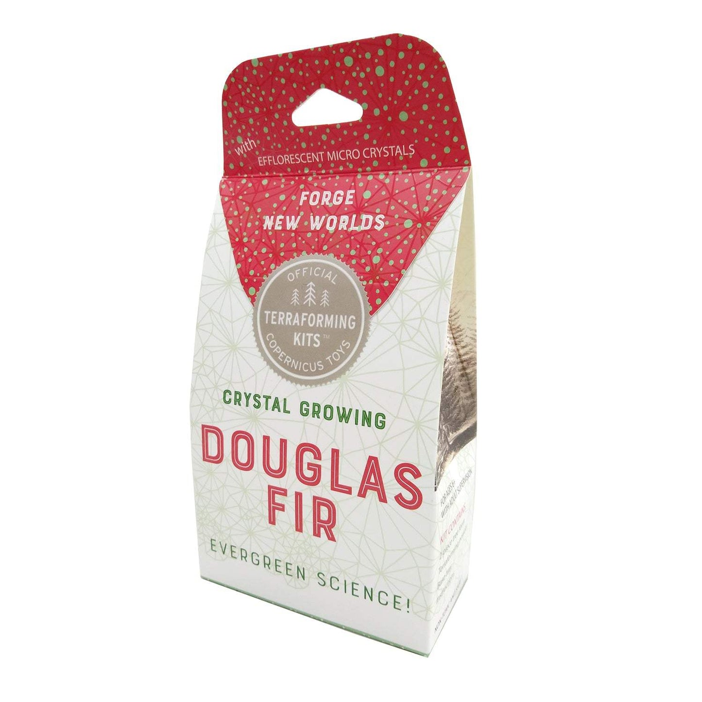Crystal Growing Douglas Fir | Fast growing crystal science