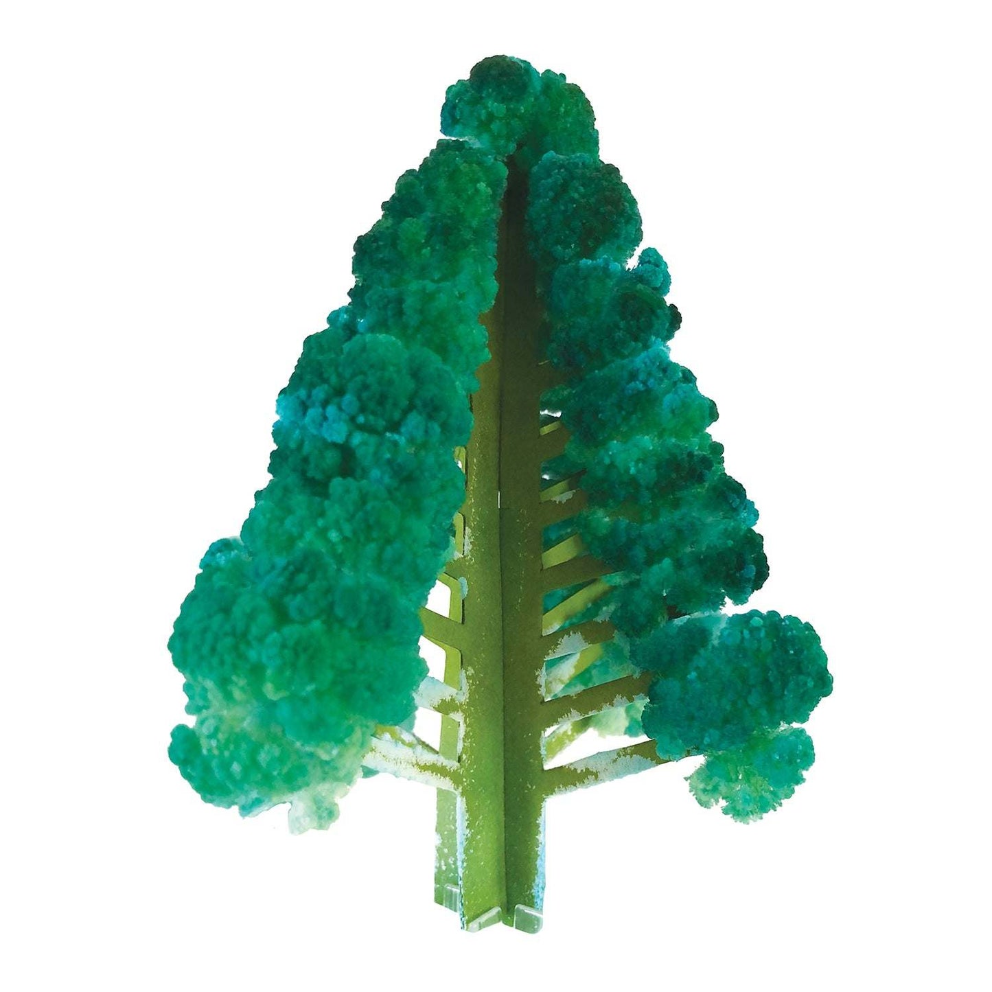 Crystal Growing Douglas Fir | Fast growing crystal science