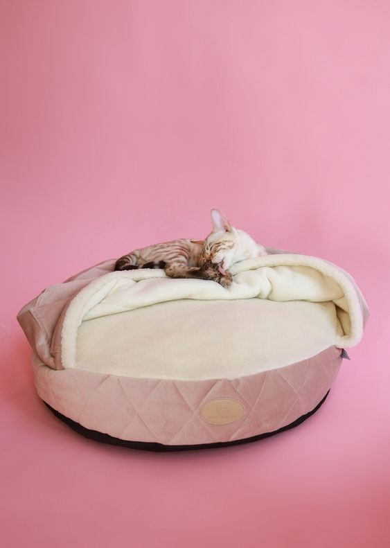 Cover Cat Bed