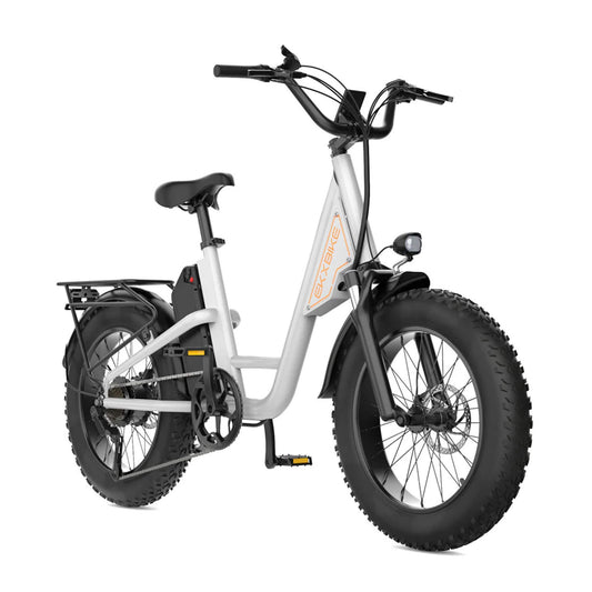 EKX L1 1000W 48V/15.6AH Electric Mountain Fat Tire Bike, 20" (SAK27491)