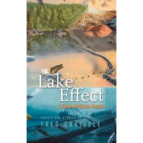 The Lake Effect: A Lake Michigan Mosaic