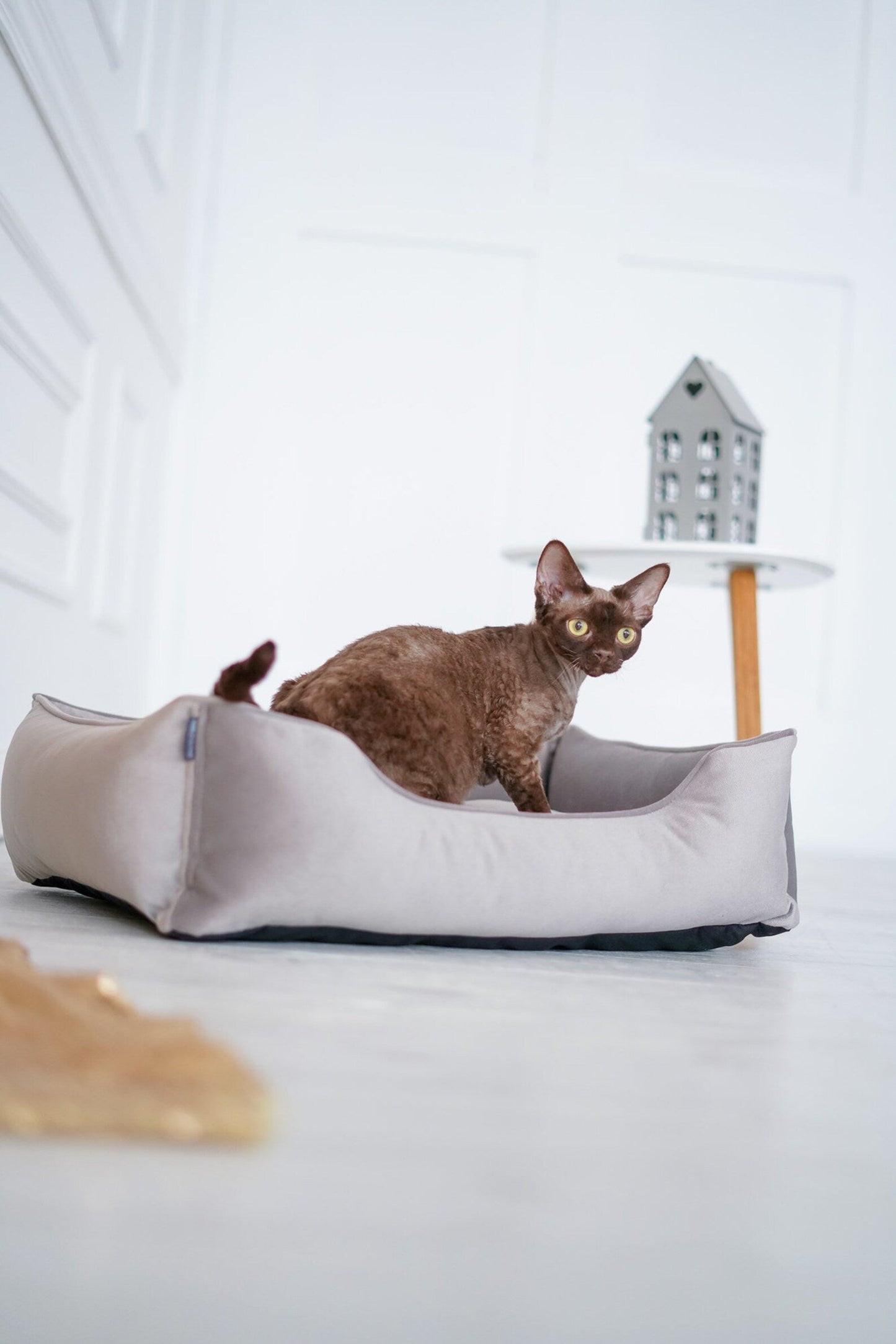 Velvet Cat Bed Dreamer