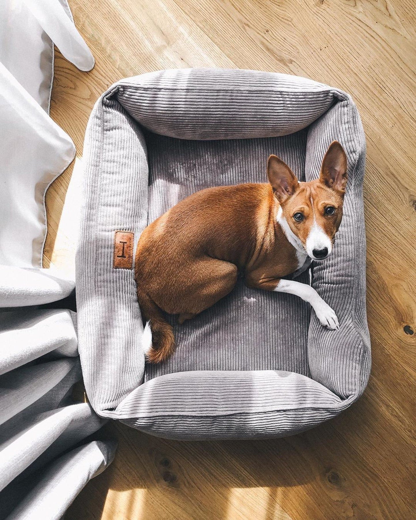 Corduroy Dog Bed Dreamer